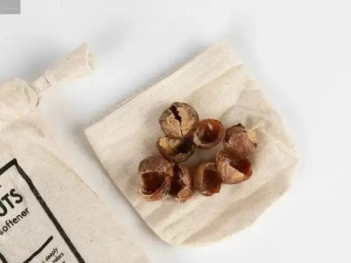 Soap Nuts - plasticology