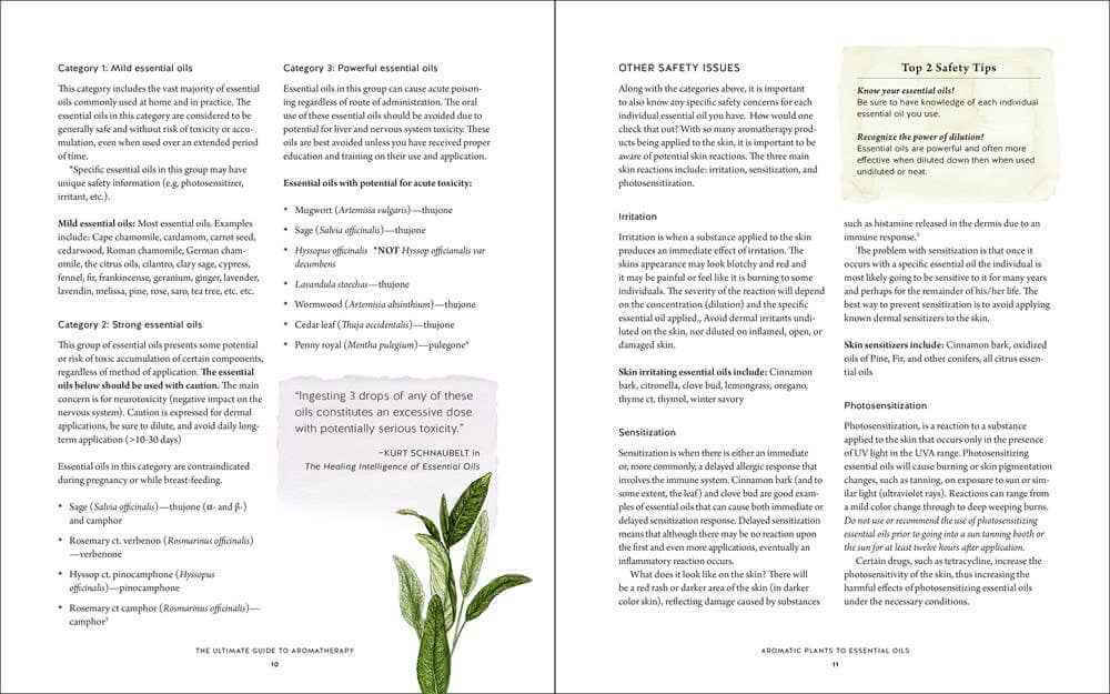 Ultimate Aromatherapy Guide: Your Illustrated Companion to Essential Oils  